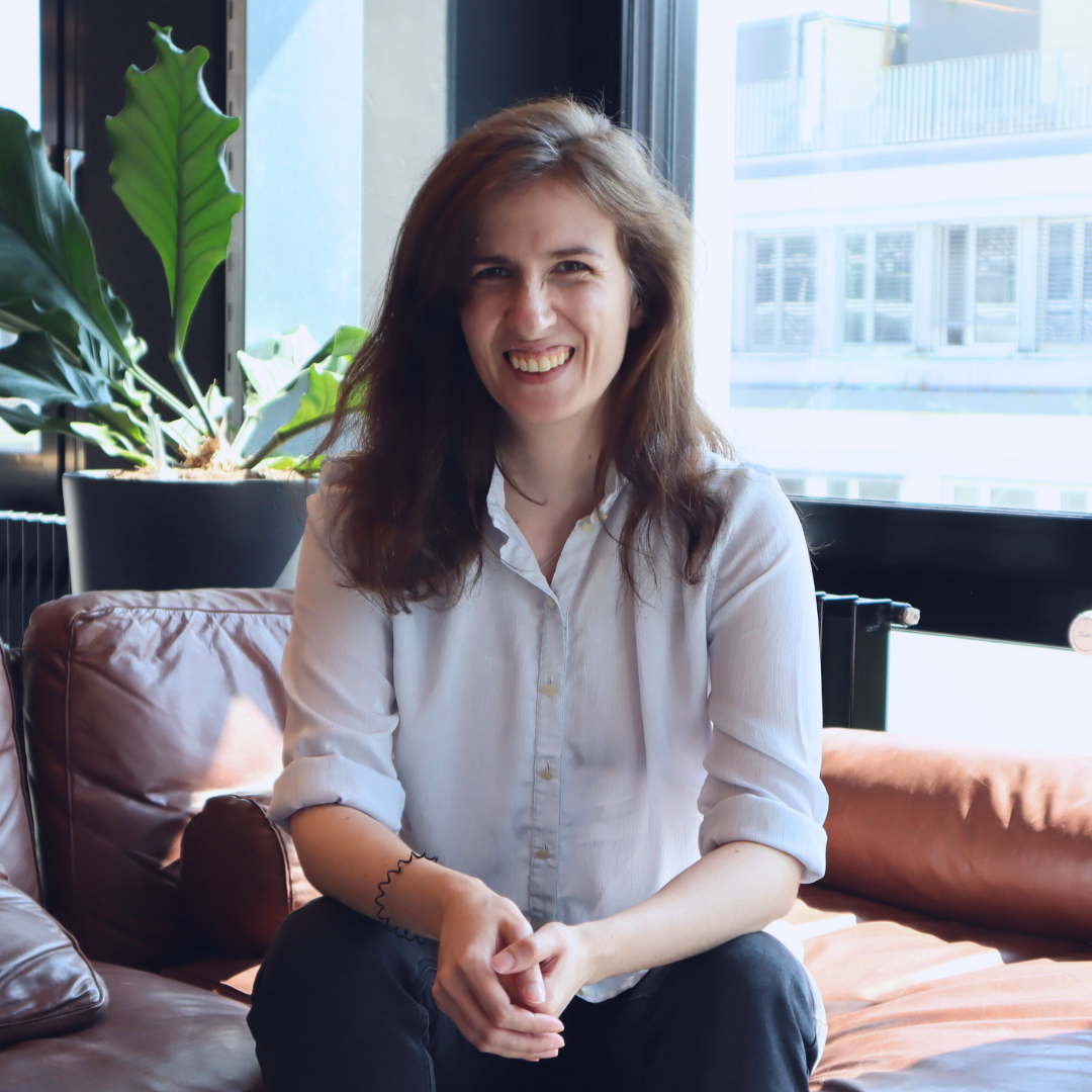 Milica Grujičić, Softwareentwickler